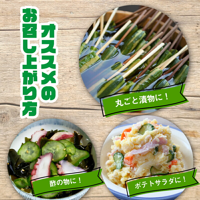 【先行予約】 ミニ きゅうり 2kg | きゅうり キュウリ 胡瓜 ミニきゅうり 新鮮 朝収穫 朝採れ 産地直送 野菜 詰合せ 夏野菜 野菜 キュウリ やさい 採れたて 季節 食材 旬 栽培