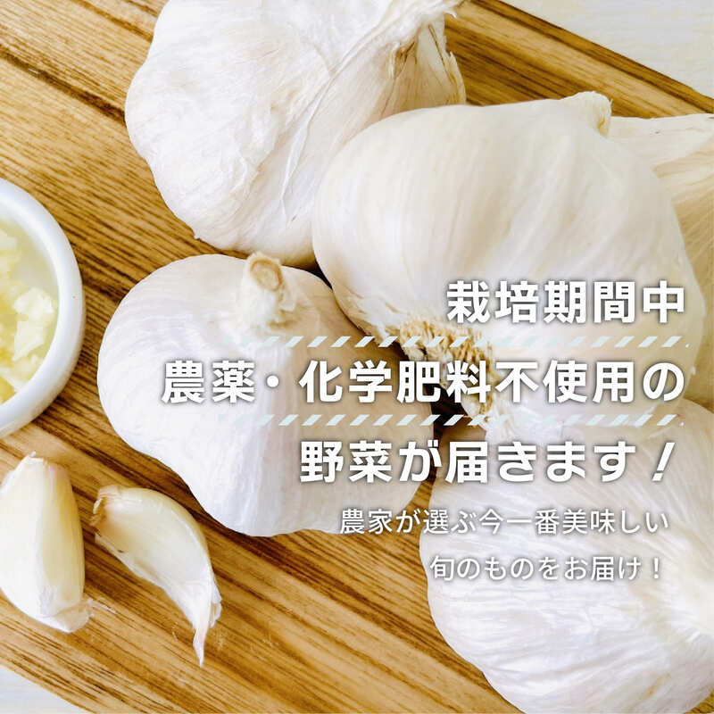 【期間限定】 にんにく 1kg トマトファクトリー 栽培期間中 農薬 化学肥料不使用 ニンニク 大蒜 乾燥 不揃い 正規品 おまかせ 野菜セット 季節 甘い 糖度 食材 旬 素揚げ から揚げ