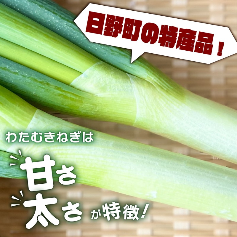 【先行予約】 【期間限定】 日野町産 わたむきねぎ 8kg 40本 トマトファクトリー 野菜 ねぎ ネギ 長ネギ 白ネギ 詰め合わせ セット 新鮮 採れたて 太い 季節 甘い 糖度 高糖度 あまい