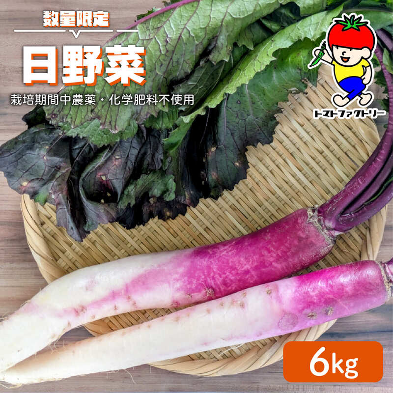 【先行予約】 【期間限定】 日野町産 日野菜 6kg トマトファクトリー 野菜 漬物 漬け物 ひのな ひの菜 詰め合わせ セット 新鮮 採れたて 日野菜漬け カブ 伝統野菜 さくら漬け 食材 旬