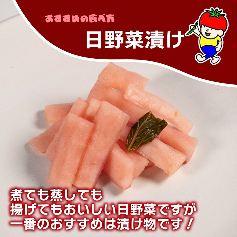 【先行予約】 【期間限定】 日野町産 日野菜 6kg トマトファクトリー 野菜 漬物 漬け物 ひのな ひの菜 詰め合わせ セット 新鮮 採れたて 日野菜漬け カブ 伝統野菜 さくら漬け 食材 旬