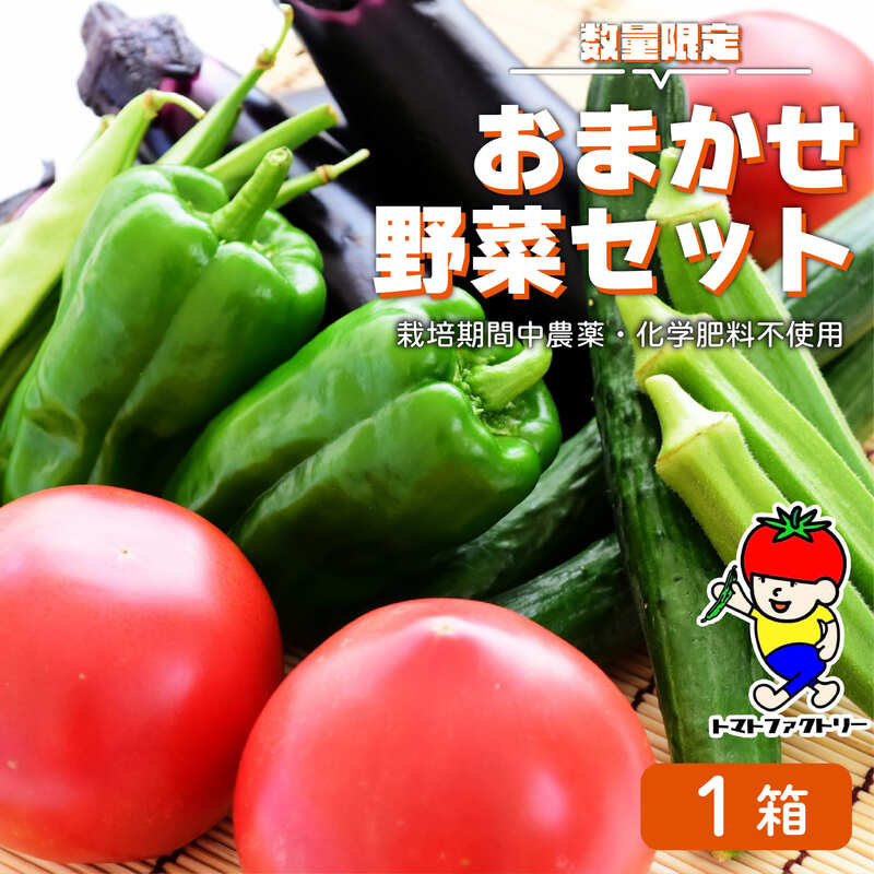 【数量限定】 おまかせ野菜セット 1箱 トマトファクトリー 野菜 トマト きゅうり 白菜 オクラ じゃがいも 玉ねぎ なす 詰め合わせ セット 新鮮 採れたて 食材 旬  栽培 産地直送 農家直送