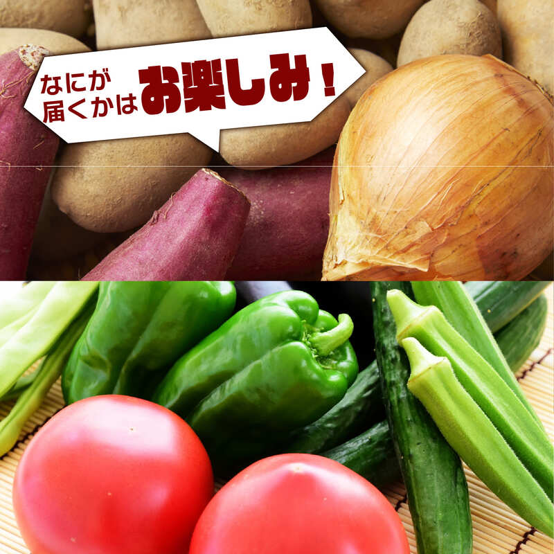 【数量限定】 おまかせ野菜セット 1箱 トマトファクトリー 野菜 トマト きゅうり 白菜 オクラ じゃがいも 玉ねぎ なす 詰め合わせ セット 新鮮 採れたて 食材 旬  栽培 産地直送 農家直送