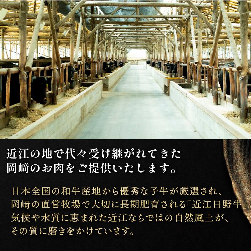 【訳あり】近江牛 ヒレ 切り落とし 300g 近江日野牛 完熟近江牛 焼肉用 やきにく 焼肉 焼き肉 切落し 切落し 訳アリ 牛肉 高級 最上級 ブランド 和牛 近江牛 300g 国産牛 ヒレ フィレ
