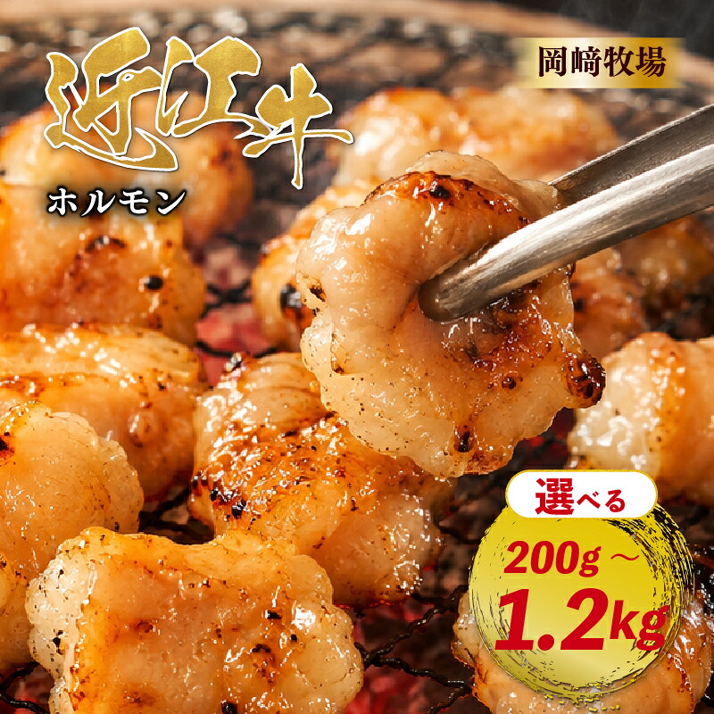 近江牛 ホルモン 200g ～ 1.2kg 完熟近江牛 近江日野牛 ふるさと納税 焼肉 やきにく ホルモン ほるもん 小腸 コプチャン プリプリ 焼き肉 BBQ キャンプ 一人焼肉 焼肉 焼き肉 牛肉