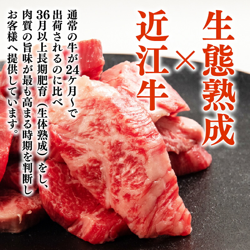 近江牛 ホルモン 200g ～ 1.2kg 完熟近江牛 近江日野牛 ふるさと納税 焼肉 やきにく ホルモン ほるもん 小腸 コプチャン プリプリ 焼き肉 BBQ キャンプ 一人焼肉 焼肉 焼き肉 牛肉