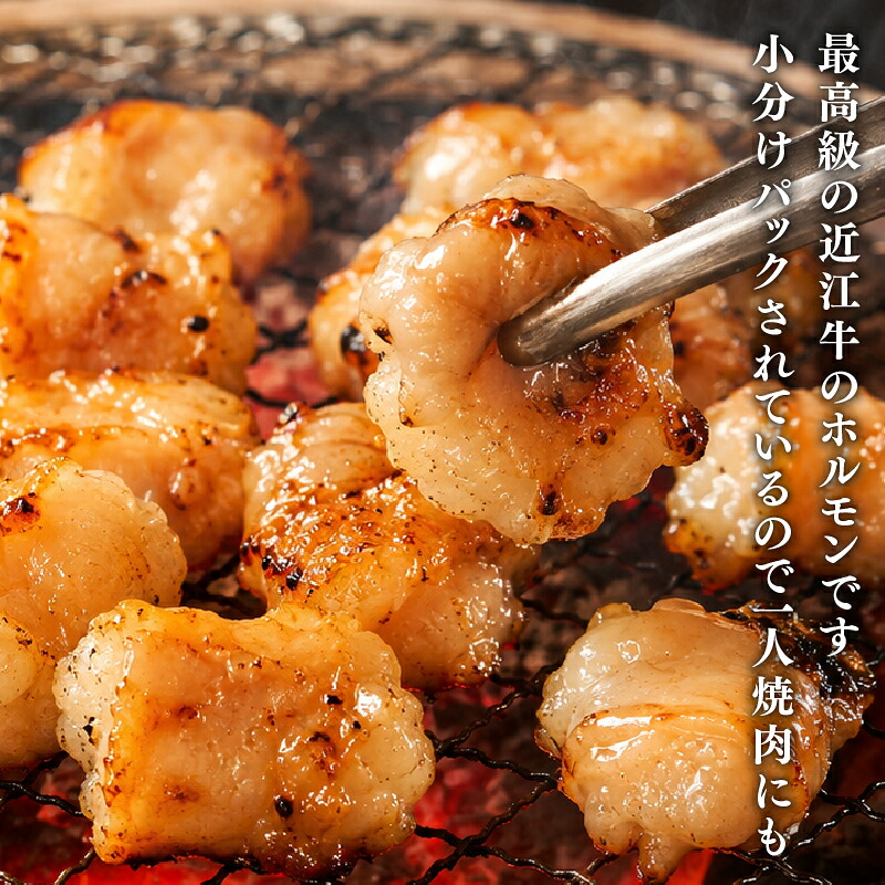 近江牛 ホルモン 200g ～ 1.2kg 完熟近江牛 近江日野牛 ふるさと納税 焼肉 やきにく ホルモン ほるもん 小腸 コプチャン プリプリ 焼き肉 BBQ キャンプ 一人焼肉 焼肉 焼き肉 牛肉