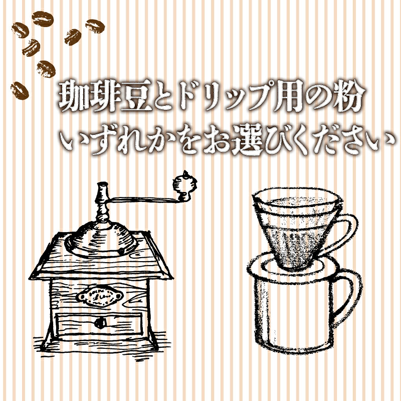コーヒー 定期便 180g × 3回 or 6回 【 豆 or 粉 】選べる 珈琲豆 挽き方 お届け回数 90g × 2種 毎月 計 180g 珈琲豆 3ヶ月 6ヶ月 自家焙煎 珈琲 高級 豆
