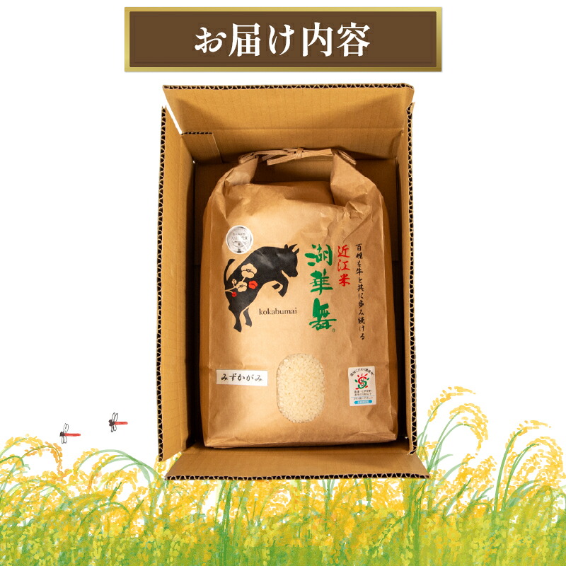 令和8年産 新米 27kg 選べる 6種 【 コシヒカリ みずかがみ ミルキークイーン きぬひかり にじのきらめき きらみずき】 滋賀県産 米 竜王 コメ 令和8年産米