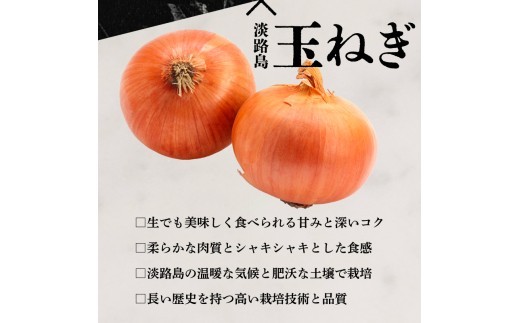 近江牛 入り ハンバーグ 6kg 3kg 2kg 1kg 淡路島産 玉ねぎ 近江牛 使用 合挽き 近江牛 200g/30個15個10個5個 選べる容量 個包装 和牛 牛肉 冷凍 黒毛和牛 豚肉 ポーク ランキング 日本三大和牛 滋賀県 竜王町