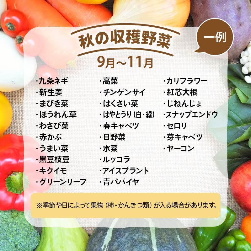 野菜 定期便 詰め合わせ 1回 3回 6回 12回 10品 ~ 15品 旬 新鮮 やさい セット 野菜ソムリエ （ 厳選 定期便 1ヶ月 3ヶ月 6ヶ月 12ヶ月 道の駅 かがみの里 竜王町)