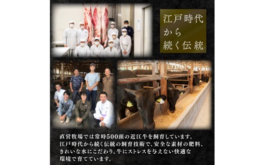 近江牛 国産牛 しぐれ煮 80g ~ 160g 選べる 1箱 2箱 和牛 黒毛和牛 牛しぐれ ごはんのお供 牛肉 牛 肉 ふるさと納税 ブランド おかず お茶漬け おつまみ 三大和牛 贈り物