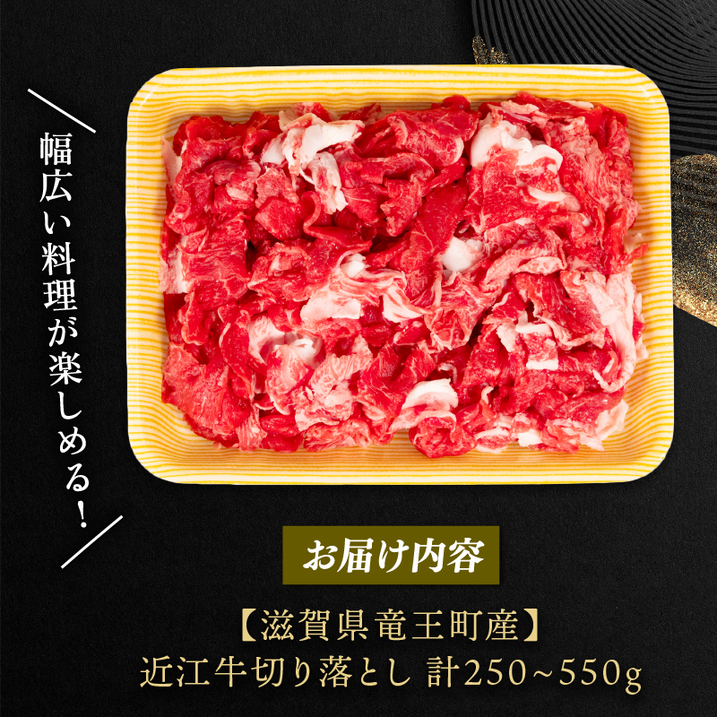 選べる!!／近江牛切り落とし 250g ～ 2.2kg 定期便 3回 6回 12回 和牛 黒毛和牛 冷凍 ブランド牛 切り落とし 牛 肉 牛肉  小間切れ 切り落とし 切落し きりおとし 近江牛切落し