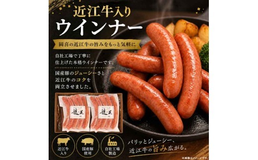 近江牛 入り ごちそう バラエティ セット 980g ベーコン ブロック 熟成 焼き肉 焼肉 切り落とし ホルモン コプチャン ウインナー 粗挽き 岡喜 自社工場 自家製 お肉 肉 豚 ぶた 豚肉 豚
