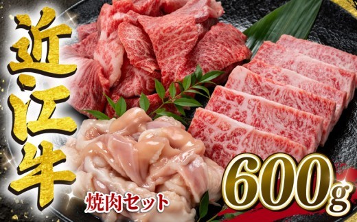 【家計応援】 近江牛 焼肉 セット 計600g 200g×3種 カルビ 切り落とし ホルモン 焼き肉 コプチャン バラ サシ ホソ 切落し きりおとし 牛肉切り落とし 3種 肉 牛肉 黒毛和牛
