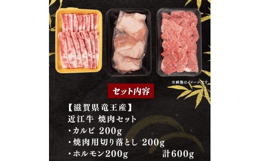 【家計応援】 近江牛 焼肉 セット 計600g 200g×3種 カルビ 切り落とし ホルモン 焼き肉 コプチャン バラ サシ ホソ 切落し きりおとし 牛肉切り落とし 3種 肉 牛肉 黒毛和牛