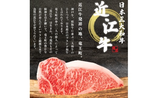 【家計応援】 近江牛 焼肉 セット 計600g 200g×3種 カルビ 切り落とし ホルモン 焼き肉 コプチャン バラ サシ ホソ 切落し きりおとし 牛肉切り落とし 3種 肉 牛肉 黒毛和牛