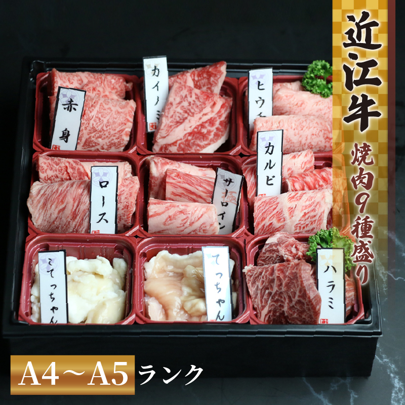 近江牛 赤身 焼肉 9種 盛り合わせ 360g ～ 410g 冷凍 カルビ ロース ハラミ サーロイン 希少部位2種 黒毛和牛 ブランド和牛 牛肉 切り落し 贈り物 ギフト 国産 和牛 滋賀県 竜王町