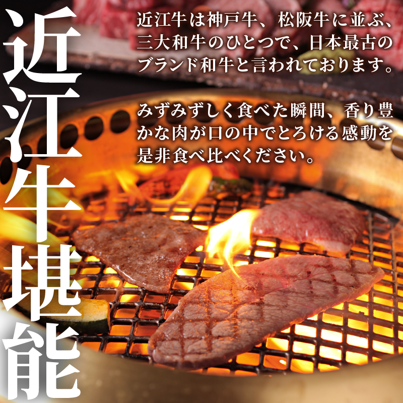 近江牛 赤身 焼肉 9種 盛り合わせ 360g ～ 410g 冷凍 カルビ ロース ハラミ サーロイン 希少部位2種 黒毛和牛 ブランド和牛 牛肉 切り落し 贈り物 ギフト 国産 和牛 滋賀県 竜王町
