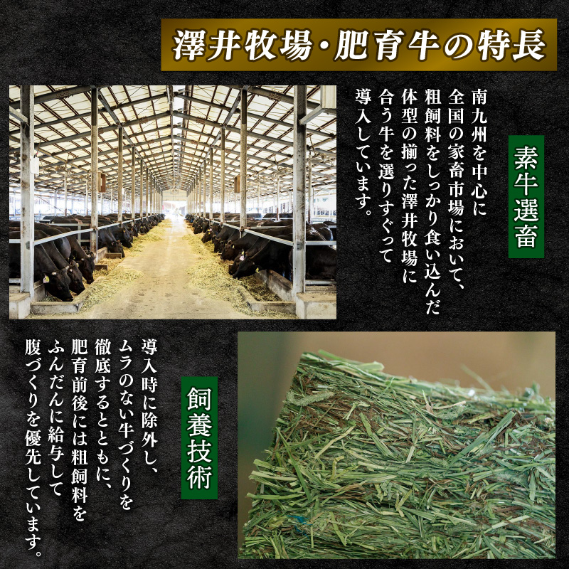 近江牛 牛肉 ロースステーキ 800g 肉 霜降り 国産 200g × 4枚 ブランド牛 日本三大和牛 和牛 黒毛和牛 贈り物 ギフト 冷凍 産地直送 滋賀県 竜王町 澤井牧場 送料無料