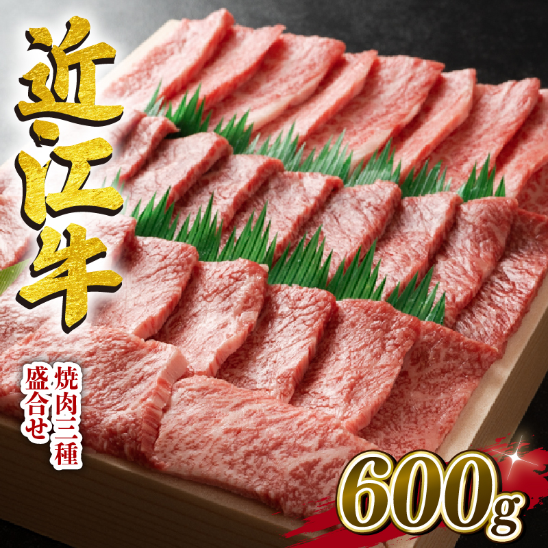 近江牛 牛肉 焼肉 三種 盛り合わせ 600g 霜降り 赤身 国産 ブランド牛 日本三大和牛 和牛 黒毛和牛 贈り物 ギフト 冷凍 滋賀県 竜王町 澤井牧場