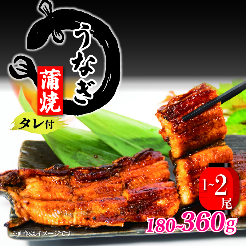 うなぎ 蒲焼 容量 1尾 2尾 （180g） 鰻 一尾 180g タレ付 冷凍 グルメ  国産 新鮮 たれ 滋賀県 竜王 H067 ウナギ うなぎ蒲焼 鰻蒲焼き 蒲焼き かば焼き 真空パック 個包装 冷凍 unagi