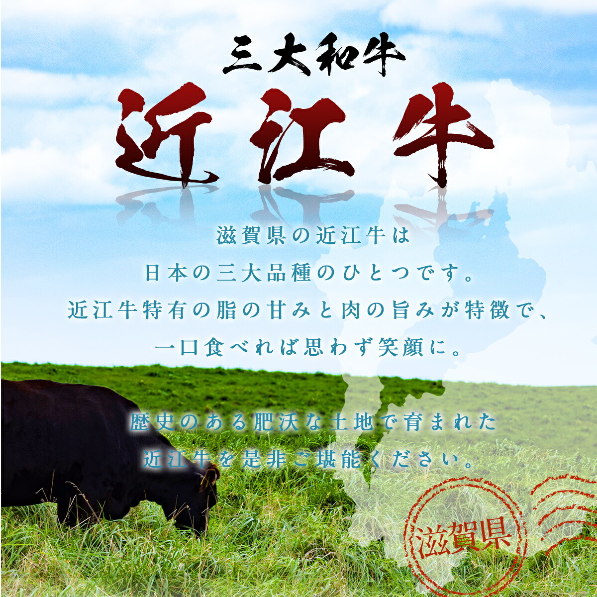 近江牛 ヒレステーキ 160g×2枚 牛肉 牛 ヒレ ヒレ肉 牛肉 和牛 黒毛和牛 焼肉 BBQ キャンプ 国産 贈答 ギフト お祝い 父の日 母の日 滋賀 愛荘