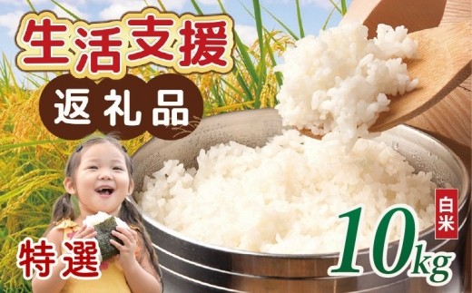 【 訳あり 】 近江ブレンド米 特選 白米 10kg