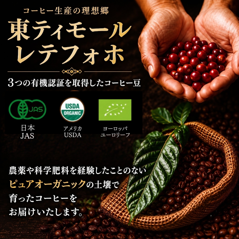 自家焙煎豆スペシャルティコーヒー 200g(100g×2種類)  選べる 単品 定期便 スペシャリティコーヒー 焙煎 コーヒー豆 コーヒー粉 人気 2種 飲み比べ 珈琲 大人気 コーヒー 豆 粉 おすすめ 京都 八幡 Comorebi珈琲