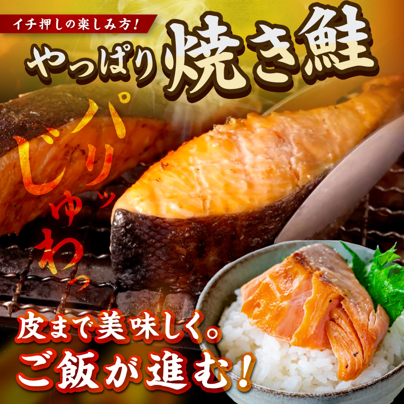 【訳あり・不揃い】お手軽!絶品!厚切り 塩銀鮭切身 プロトン凍結 訳あり 不揃い 鮭 しゃけ 銀鮭 切り身 約1kg 約2kg (プロトン凍結 訳あり 不揃い) ふるさと納税 鮭 しゃけ 銀鮭 切り身 YK00579