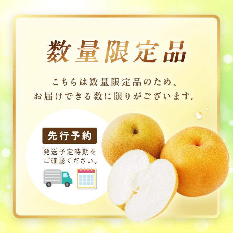 【先行予約/数量限定700】新興梨(訳あり) 5kg (7~12玉)(2026年9月下旬~発送) ふるさと 納税 訳あり 規格外 ふるさと 納税 フルーツ くだもの 果物 傷 赤梨 DE00159