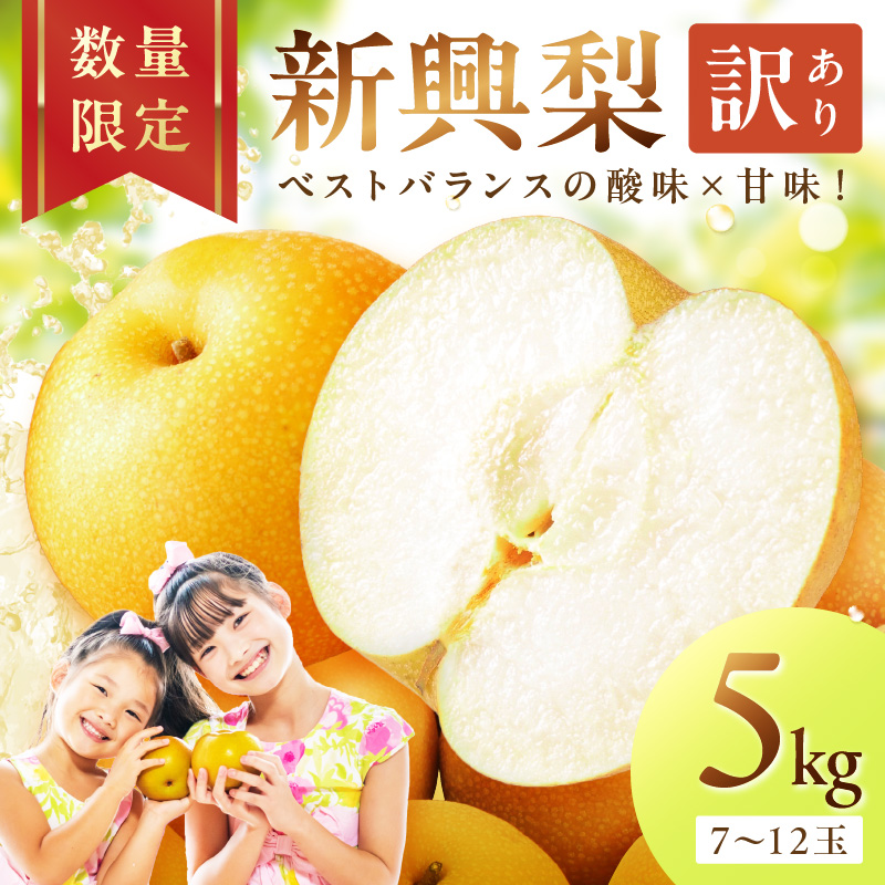 【先行予約/数量限定700】新興梨(訳あり) 5kg (7~12玉)(2026年9月下旬~発送) ふるさと 納税 訳あり 規格外 ふるさと 納税 フルーツ くだもの 果物 傷 赤梨 DE00159