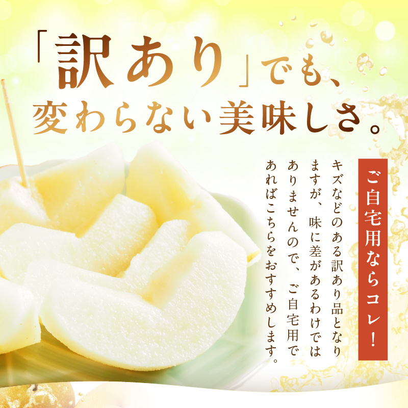 【先行予約/数量限定700】新興梨(訳あり) 5kg (7~12玉)(2026年9月下旬~発送) ふるさと 納税 訳あり 規格外 ふるさと 納税 フルーツ くだもの 果物 傷 赤梨 DE00159