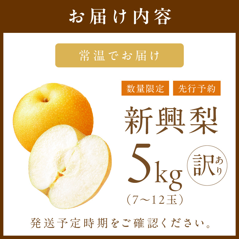 【先行予約/数量限定700】新興梨(訳あり) 5kg (7~12玉)(2026年9月下旬~発送) ふるさと 納税 訳あり 規格外 ふるさと 納税 フルーツ くだもの 果物 傷 赤梨 DE00159