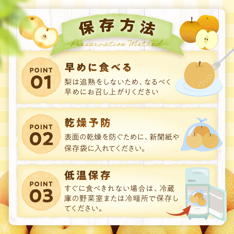 【先行予約/数量限定500】新興梨(秀品) 5kg (7~12玉)(2026年9月下旬~発送) ふるさと 納税 先行予約 期間限定 ふるさと 納税 フルーツ くだもの 果物 赤梨 DE00164