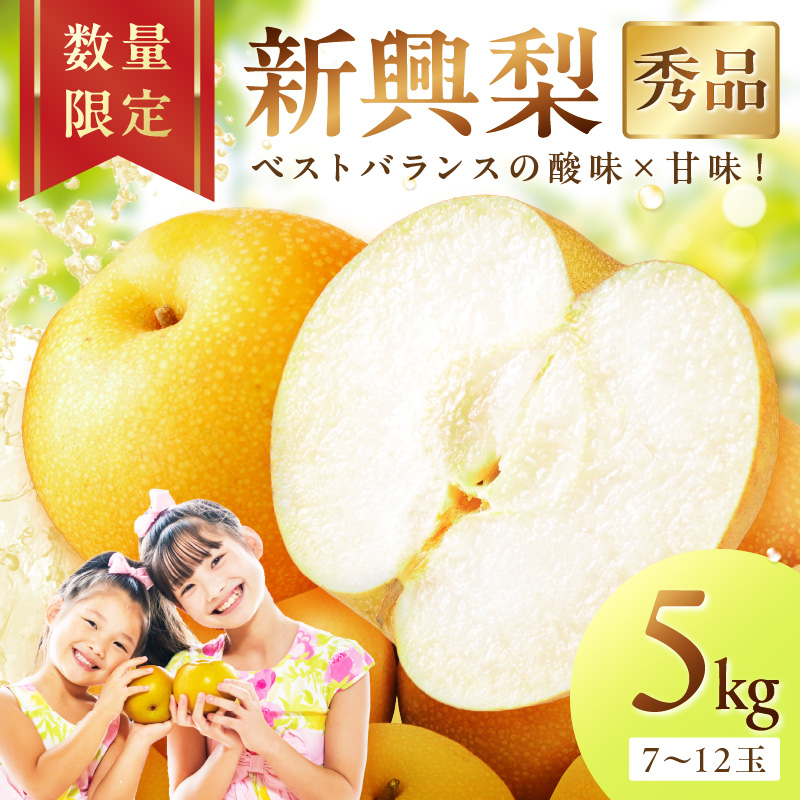 【先行予約/数量限定500】新興梨(秀品) 5kg (7~12玉)(2026年9月下旬~発送) ふるさと 納税 先行予約 期間限定 ふるさと 納税 フルーツ くだもの 果物 赤梨 DE00164