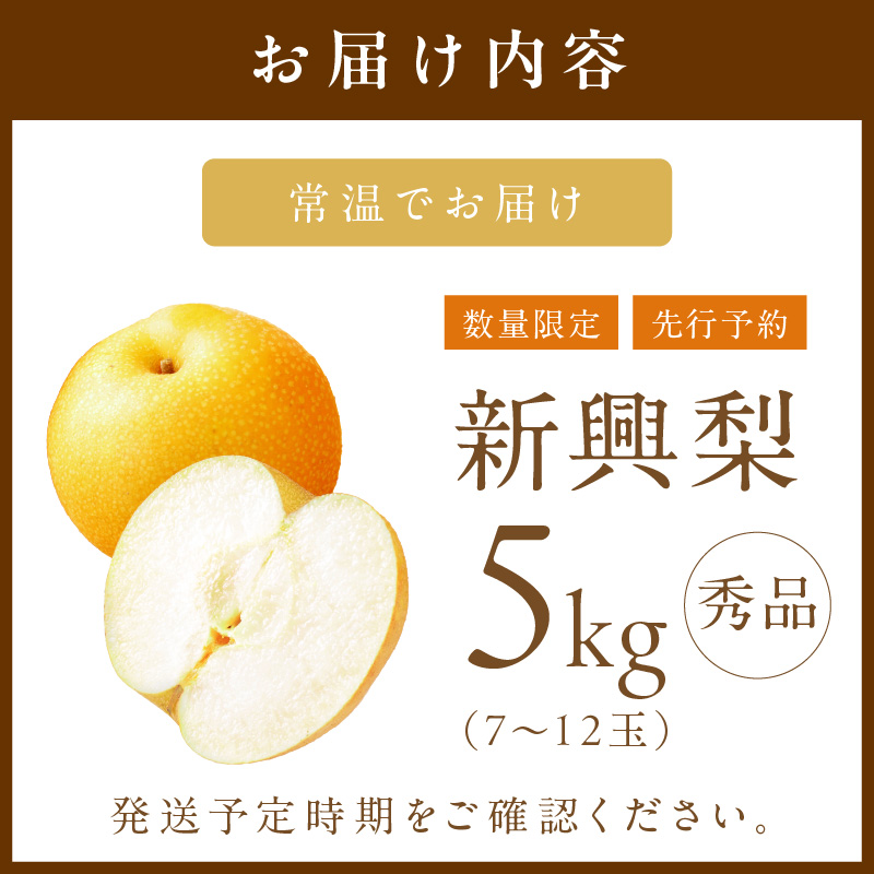 【先行予約/数量限定500】新興梨(秀品) 5kg (7~12玉)(2026年9月下旬~発送) ふるさと 納税 先行予約 期間限定 ふるさと 納税 フルーツ くだもの 果物 赤梨 DE00164