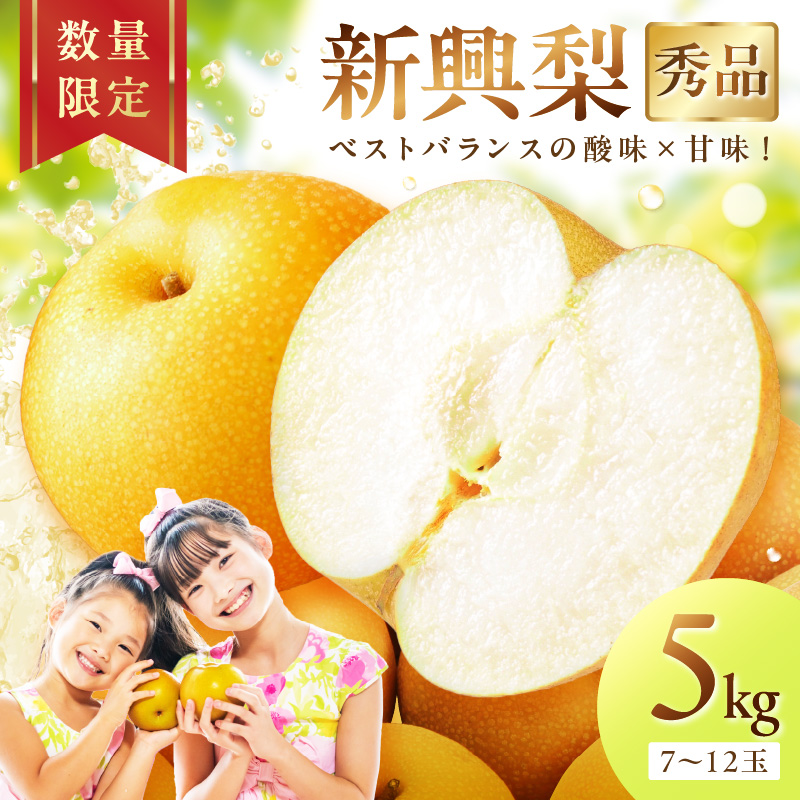 【先行予約／数量限定500】新興梨（秀品） 5kg （7～12玉）（2026年9月下旬～発送） ふるさと 納税 先行予約 期間限定 ふるさと 納税 フルーツ くだもの 果物 赤梨　DE00164