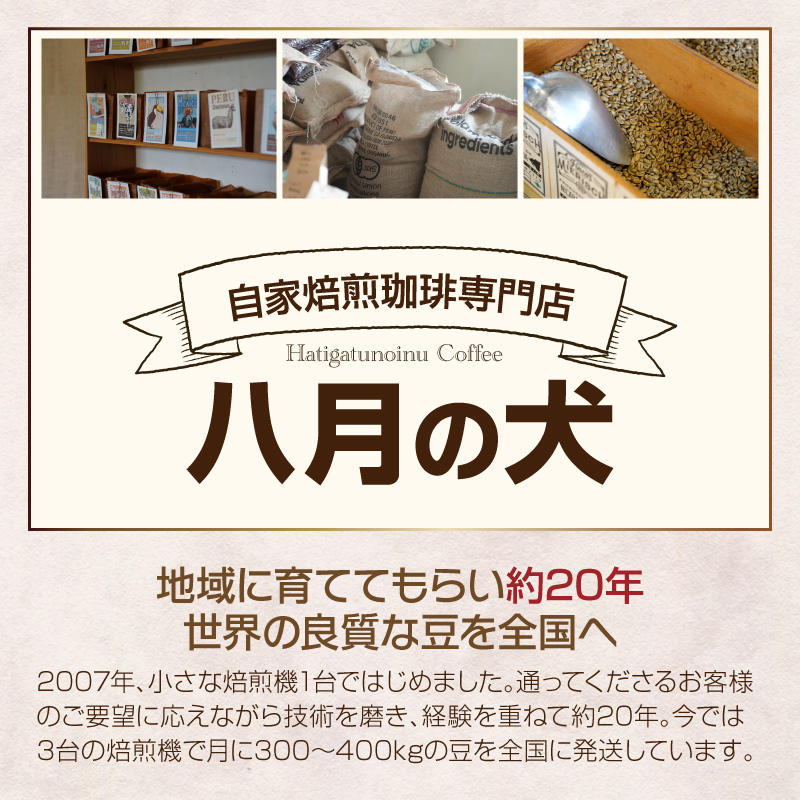 【栽培期間中 農薬不使用】 自家焙煎 コーヒー豆 お試しセットペルー ホンジュラス コロンビア 3種セット100g・200g×各3種 500g(250g×2) ふるさと納税 コーヒー豆 HA00016