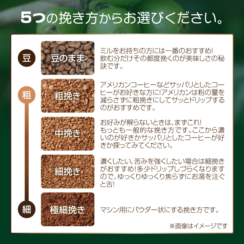 【栽培期間中 農薬不使用】 自家焙煎 コーヒー豆 お試しセットペルー ホンジュラス コロンビア 3種セット100g・200g×各3種 500g(250g×2) ふるさと納税 コーヒー豆 HA00016