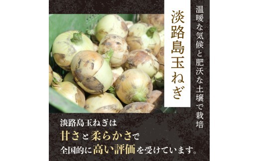 黒毛和牛 ハンバーグ 2kg~4kg 選べる 丹波牛 ブランド牛 国産 京都府産 黒毛 和牛 肉 牛 牛肉 合い挽き 豚肉 淡路島 玉ねぎ たまねぎ 冷凍 真空 小分け 個包装 お弁当 おかず 惣菜
