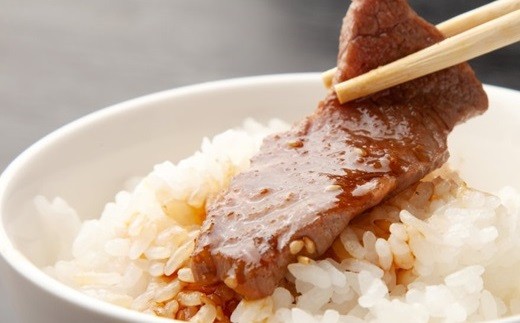 【創味】 焼肉のたれ 二代目 6本入り [012SM017]