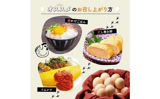 【定期便】 京都 こだわり たまご くろ丹波 30個 選べる 回数 3回 6回 12回 定期便 ( 卵 たまご 濃い 玉子 セット 玉子焼き 卵焼き 毎月 定期 お届け 卵かけご飯 ゆで卵 鶏卵 卵黄