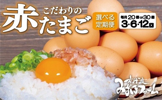 【定期便】赤たまご 選べる 回数 内容量 20個 30個 3回 6回 12回 定期便 毎月 お届け こだわり卵 たまご 濃い 玉子 セット 玉子焼き 卵焼き オムレツ 卵かけご飯 ゆで卵 鶏卵 卵黄