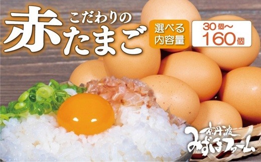 京都 こだわり卵 赤たまご 選べる 内容量 30個 80個 160個 たまご 濃い 玉子  玉子焼き 卵焼き オムレツ 卵かけご飯 ゆで卵 鶏卵 卵黄 ※北海道・沖縄・その他離島は配送不可 [007M