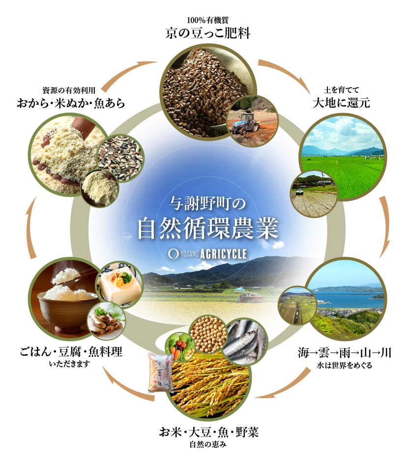 令和8年新米　京都与謝野町産コシヒカリ「京の豆っこ米」精米5kg　【誠武農園】 農家直送_1616157