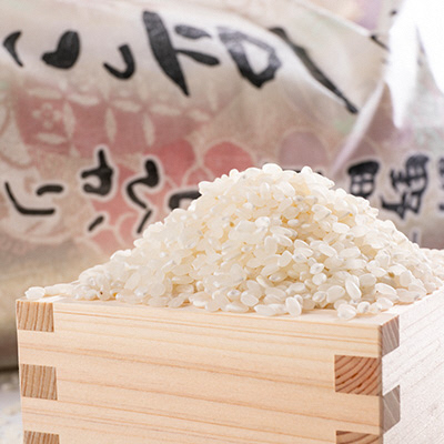 令和8年新米　京都与謝野町産コシヒカリ「京の豆っこ米」精米5kg　【誠武農園】 農家直送_1616157