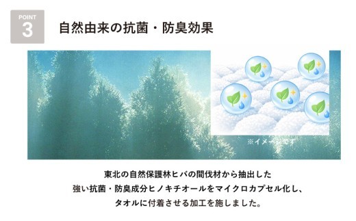 【スピード発送】まごころ手ふきん（抗菌仕様）6枚 アソート【布巾 手布巾 蚊帳生地 泉州タオル 吸水 ふきん 速乾 普段使い シンプル 日用品 家族 たおる】 G2028-1
