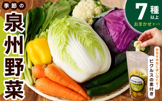 【スピード発送】季節の泉州野菜 7種 おまかせセット ピクルスの素 1袋付き いずみピクルス NSW