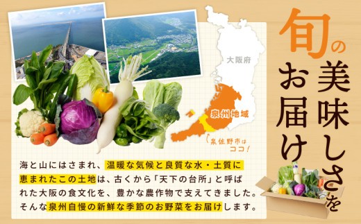 【スピード発送】季節の泉州野菜 7種 おまかせセット ピクルスの素 1袋付き いずみピクルス NSW